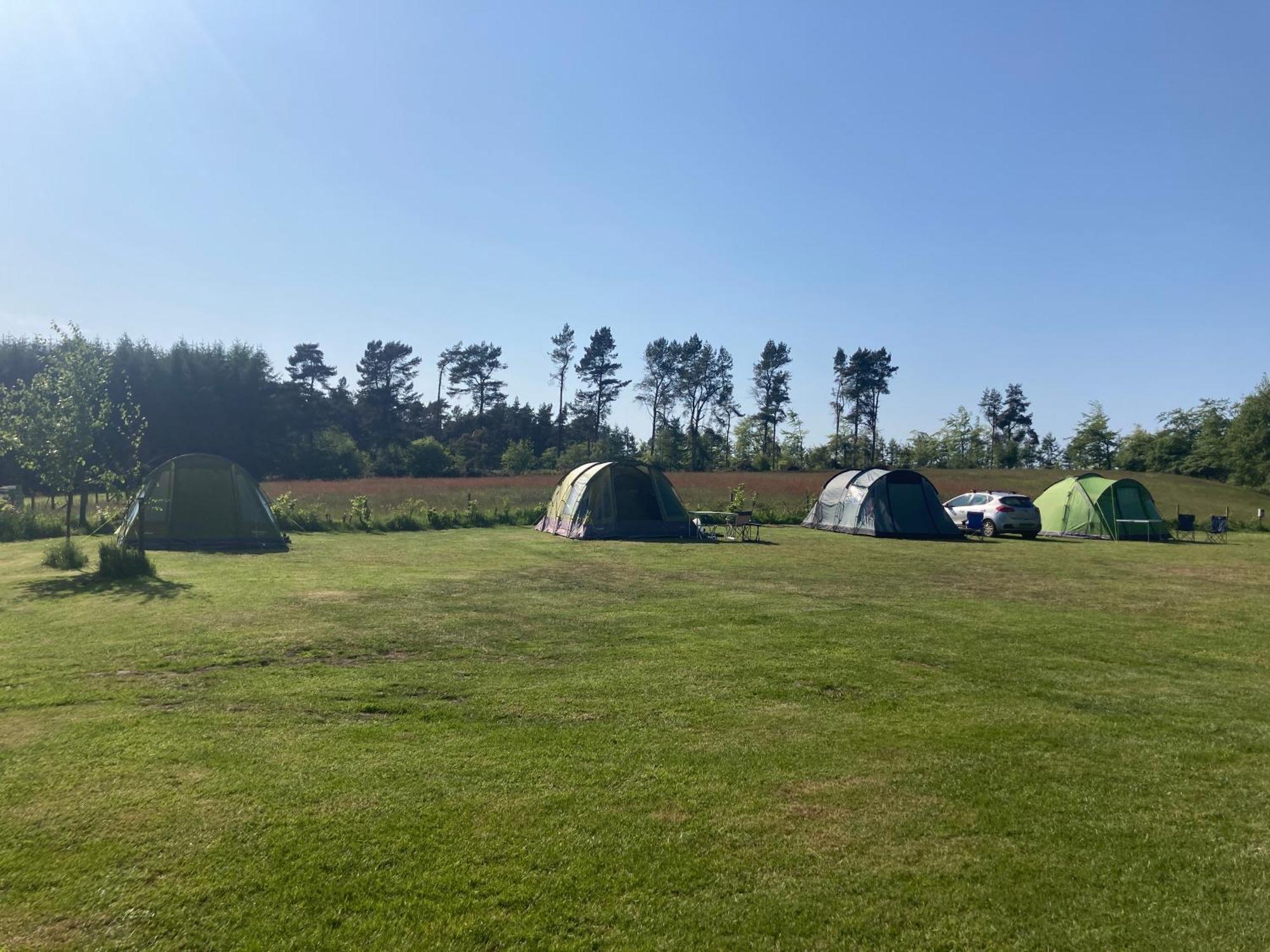 Bank Top Camping-North York Moors With Pitches For Caravans, Camper Vans And Tents Hotel Pickering Ngoại thất bức ảnh